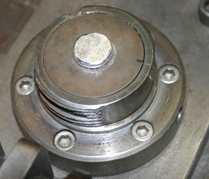 Coin Blank On Lower Die